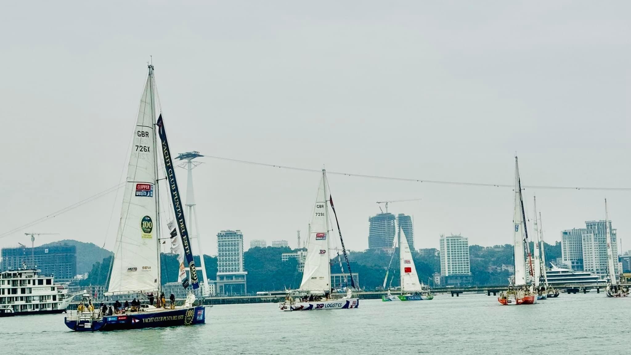 Mãn nhãn cảnh đoàn đua thuyền buồm Clipper Race diễu hành quanh vịnh Hạ Long- Ảnh 3.