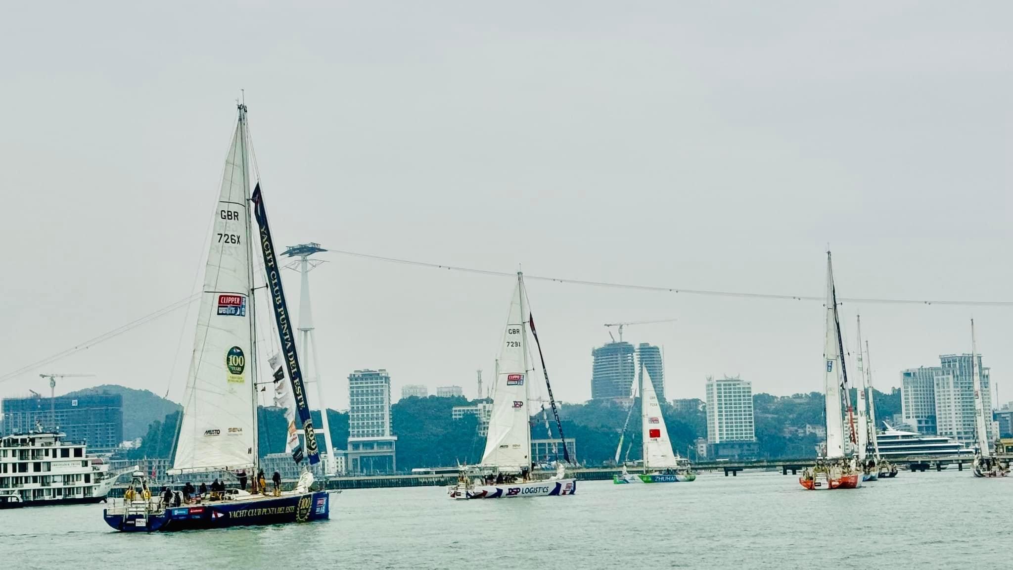 Mãn nhãn cảnh đoàn đua thuyền buồm Clipper Race diễu hành quanh vịnh Hạ Long- Ảnh 3. Mãn nhãn cảnh đoàn đua thuyền buồm Clipper Race diễu hành quanh vịnh Hạ Long- Ảnh 3.