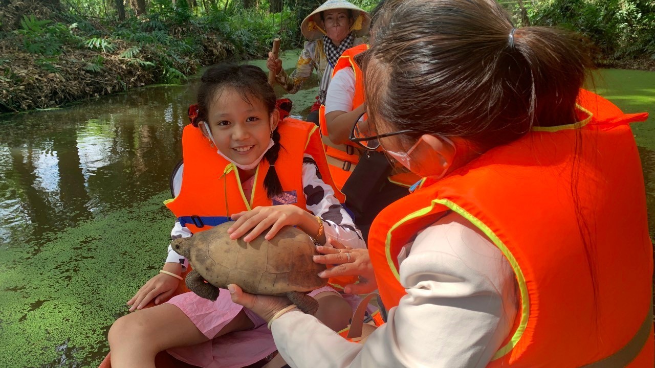 Rùa vàng  ở ĐTQ. KBT. ST Đồng Tháp Mười.