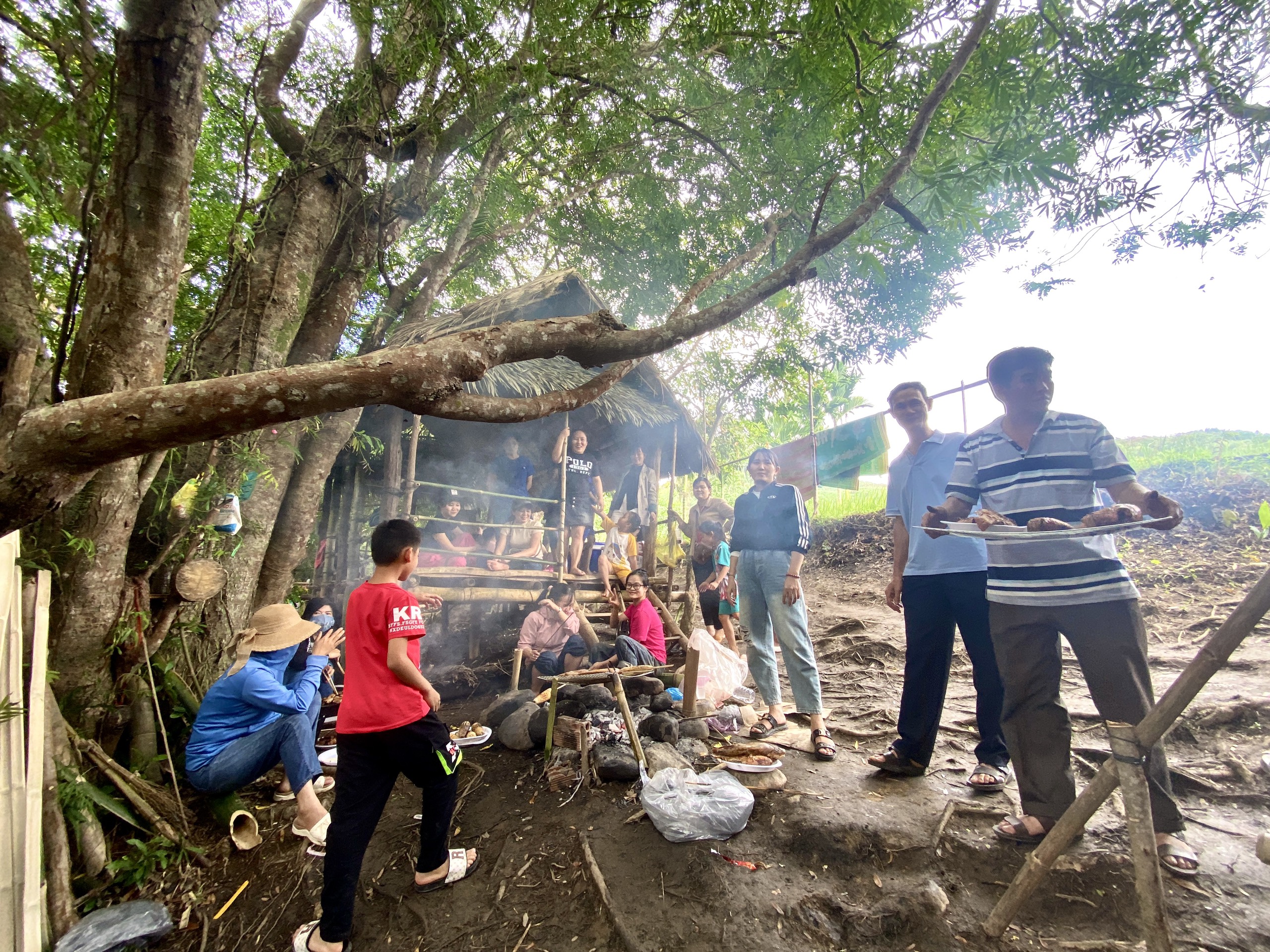 Rừng trang cổ thụ vào mùa nở hoa trên núi cao Bình Định- Ảnh 7. Rừng trang cổ thụ vào mùa nở hoa trên núi cao Bình Định- Ảnh 7.