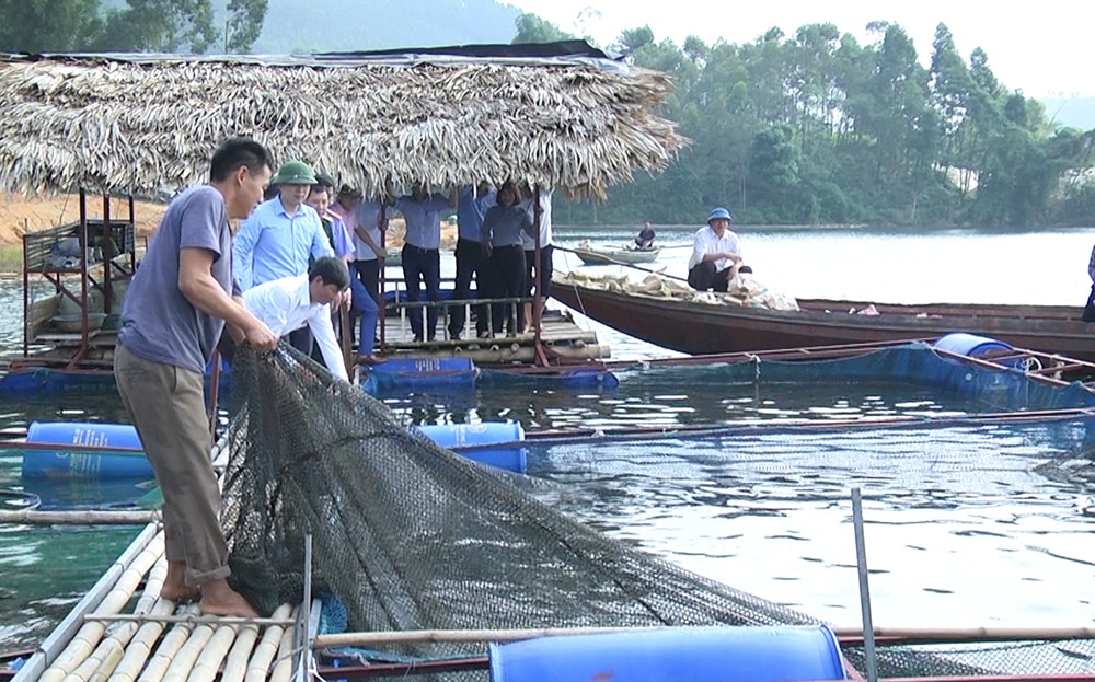 Ở Yên Bái, trên hồ nước nhân tạo rộng thứ 4 của Việt Nam, dân một huyện bắt bán hơn 8.500 tấn cá/năm- Ảnh 2.