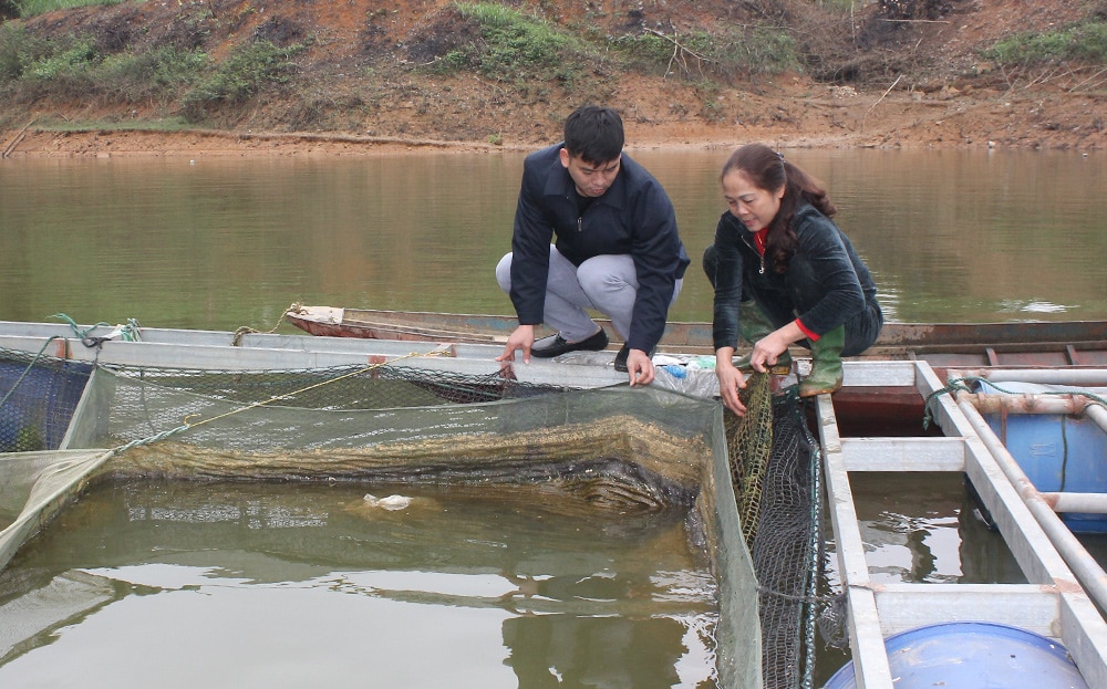 Ở Yên Bái, trên hồ nước nhân tạo rộng thứ 4 của Việt Nam, dân một huyện bắt bán hơn 8.500 tấn cá/năm- Ảnh 3.