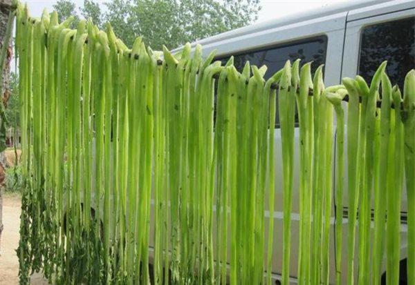 Loại rau chứa hơn 20 khoáng chất cần thiết cho cơ thể, bổ hơn tổ yến nhưng đây là lý do nhiều người không ăn - Ảnh 3. Loại rau chứa hơn 20 khoáng chất cần thiết cho cơ thể, bổ hơn tổ yến nhưng đây là lý do nhiều người không ăn - Ảnh 3.