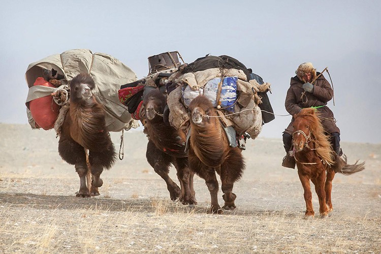 Cuộc sống du mục độc đáo của người Kazakhstan qua ảnh- Ảnh 7. Cuộc sống du mục độc đáo của người Kazakhstan qua ảnh- Ảnh 7.