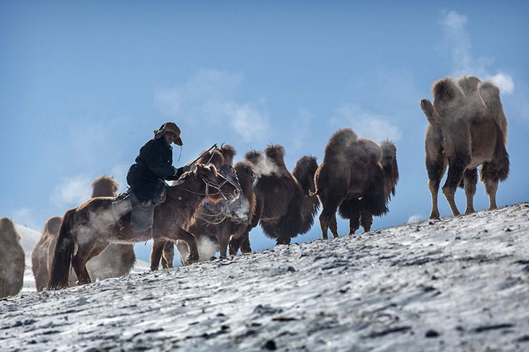 Cuộc sống du mục độc đáo của người Kazakhstan qua ảnh- Ảnh 12. Cuộc sống du mục độc đáo của người Kazakhstan qua ảnh- Ảnh 12.