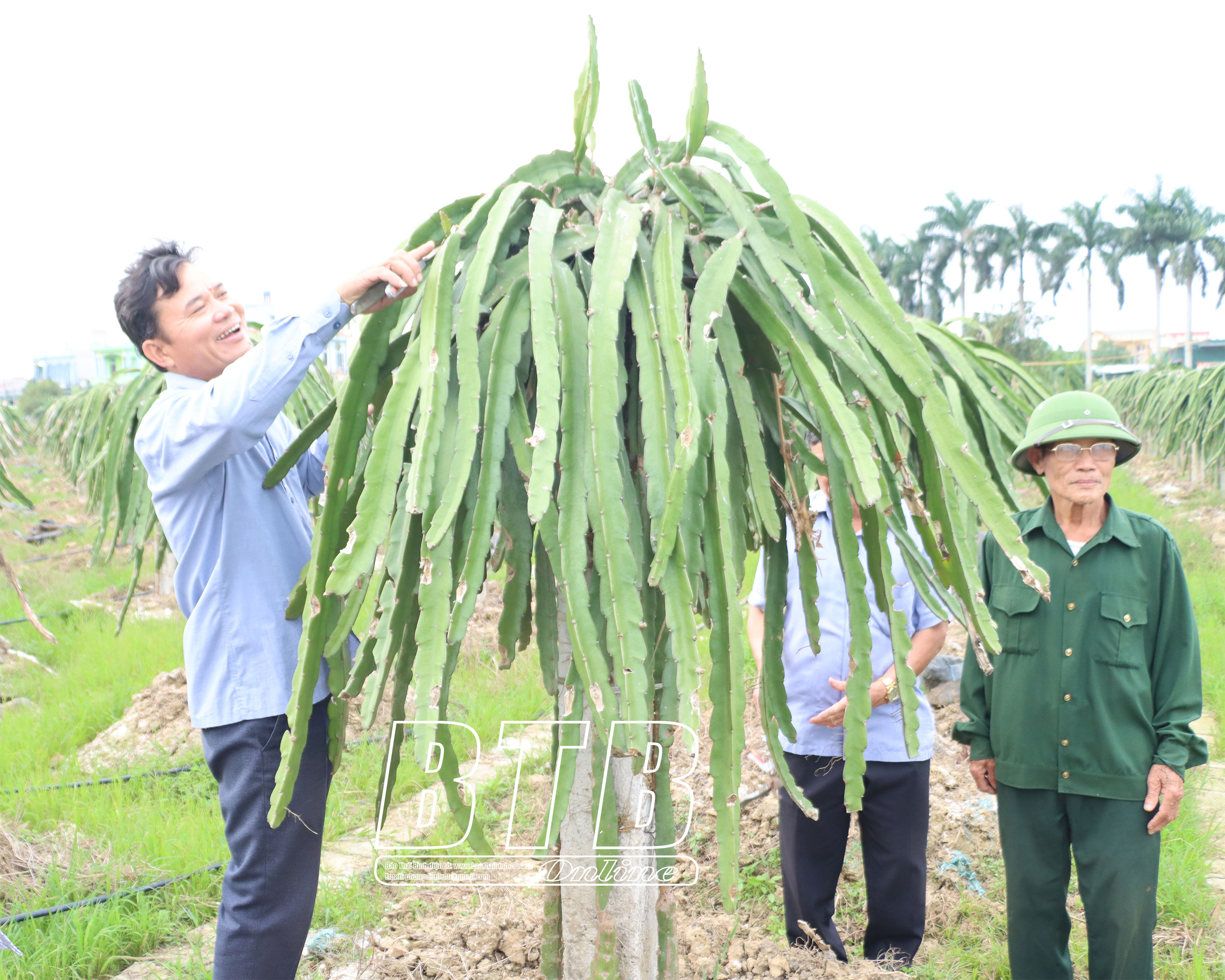 Nuôi loài chim khổng lồ chả biết bay mà chạy nhanh hơn ngựa, ông nông dân Thái Bình tự trả lương cao
- Ảnh 2. Nuôi loài chim khổng lồ chả biết bay mà chạy nhanh hơn ngựa, ông nông dân Thái Bình tự trả lương cao
- Ảnh 2.
