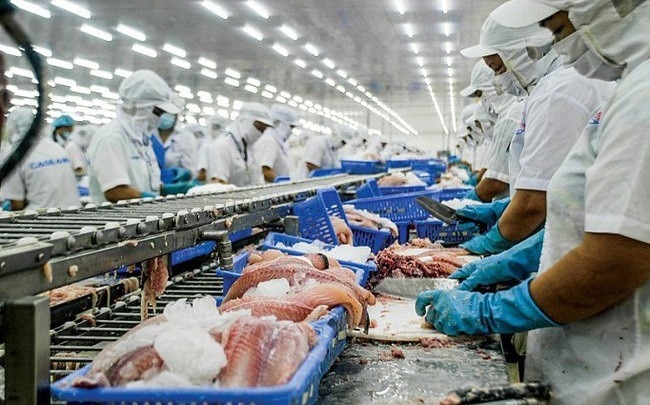 Thị trường nào trong khối thị trường CPTPP đang mua cá tra nhiều nhất của Việt Nam?