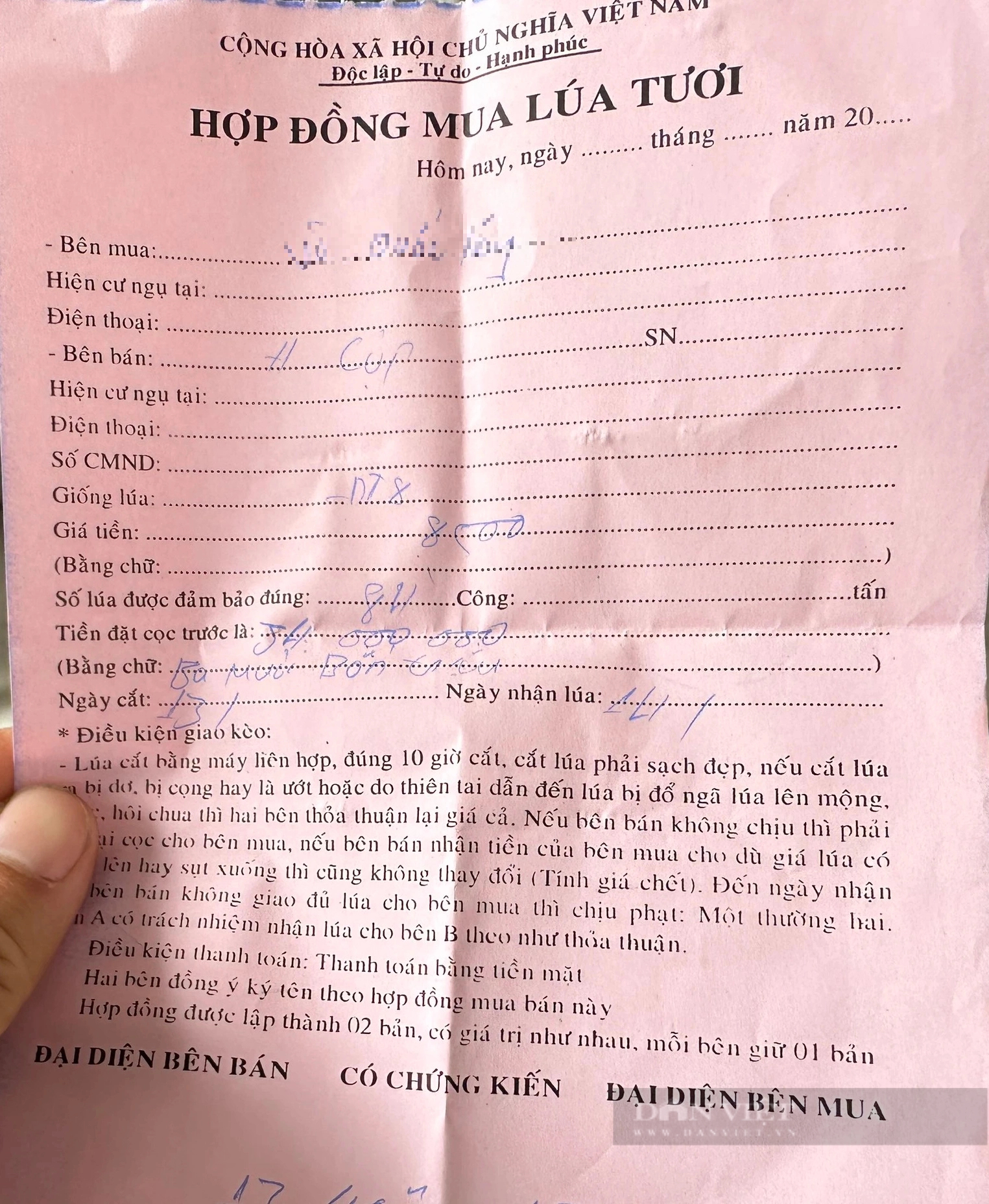 Chậm trả tiền lúa cho nông dân, doanh nghiệp nói lỗi do trục trặc thu xếp tiền mặt?- Ảnh 2. Chậm trả tiền lúa cho nông dân, doanh nghiệp nói lỗi do trục trặc thu xếp tiền mặt?- Ảnh 2.