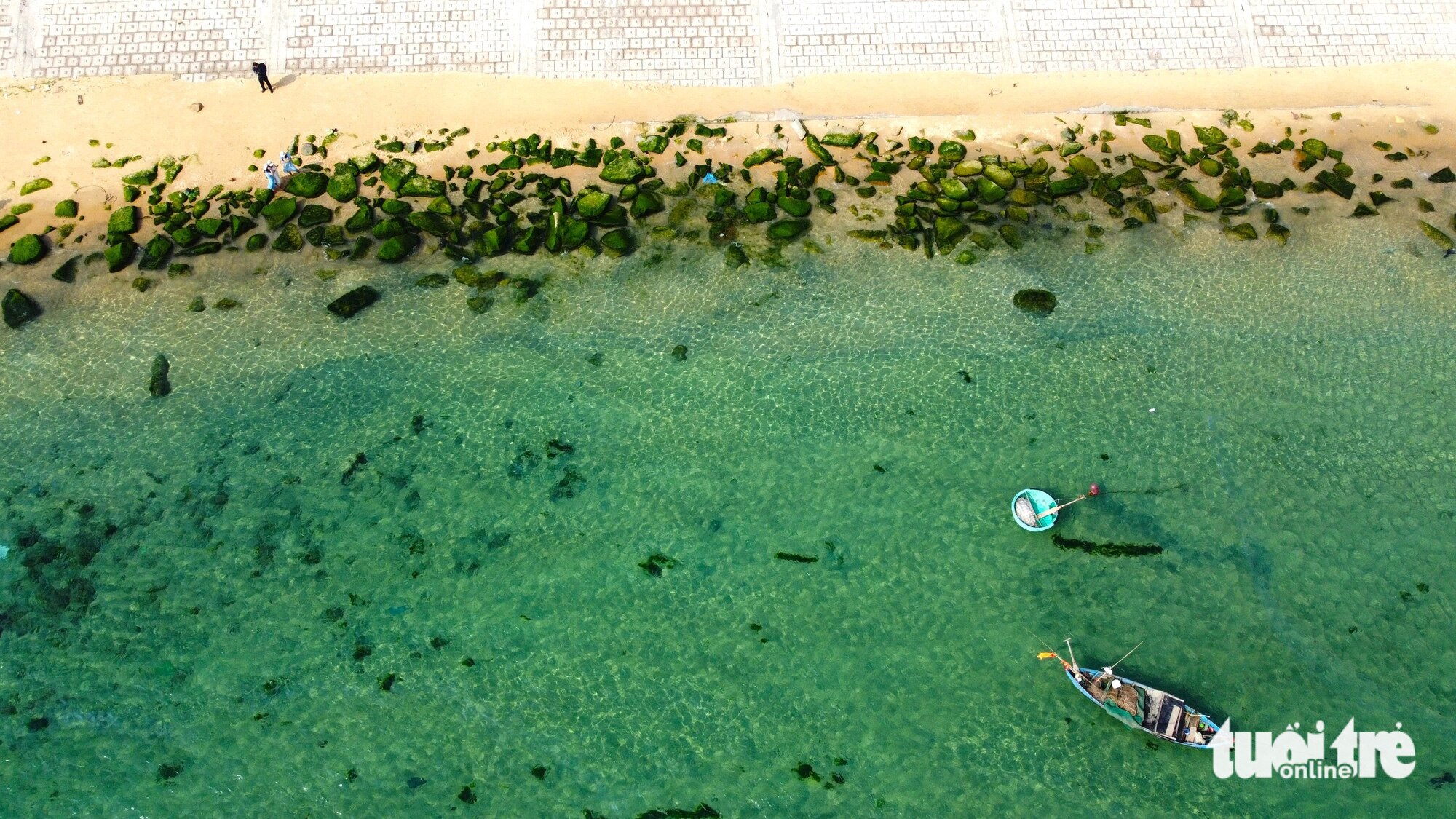 Bãi rêu xanh mướt nằm trên bãi cát trắng xóa và nước biển trong vắt ở Nhơn Hải - Ảnh: LÂM THIÊN