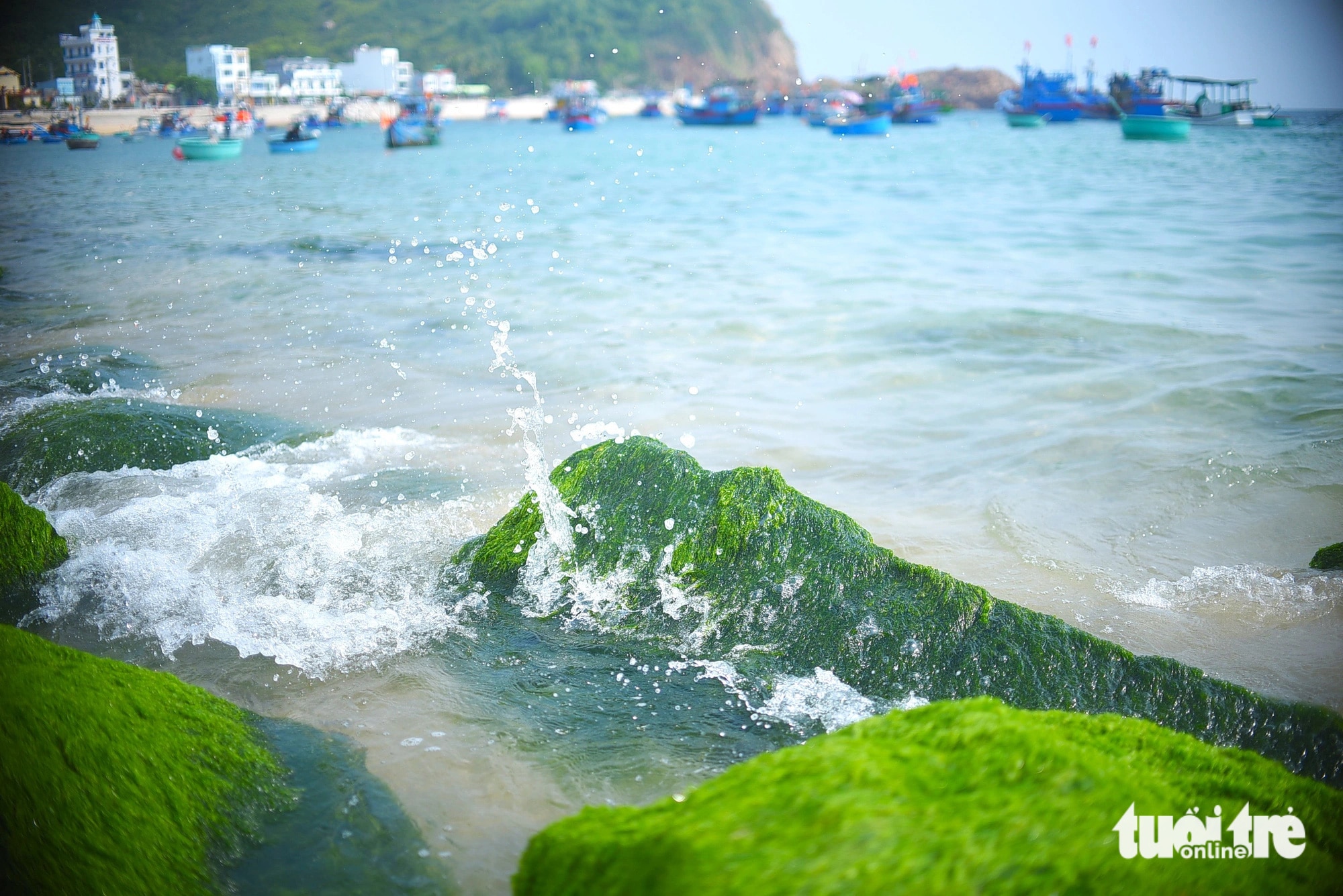 Những tảng đá phủ đầy rêu xanh bồng bềnh trong dòng nước biển trong ngần - Ảnh: LÂM THIÊN