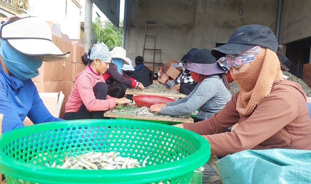 Chuyện lạ Quảng Trị, sao dân xã ven biển này cứ phải Chuyện lạ Quảng Trị, sao dân xã ven biển này cứ phải