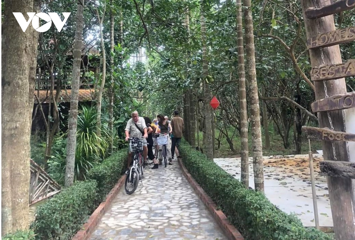 thừa thiên huế phát triển du lịch xanh, xây dựng đô thị xanh hình ảnh 4 thua thien hue phat trien du lich xanh, xay dung do thi xanh hinh anh 4