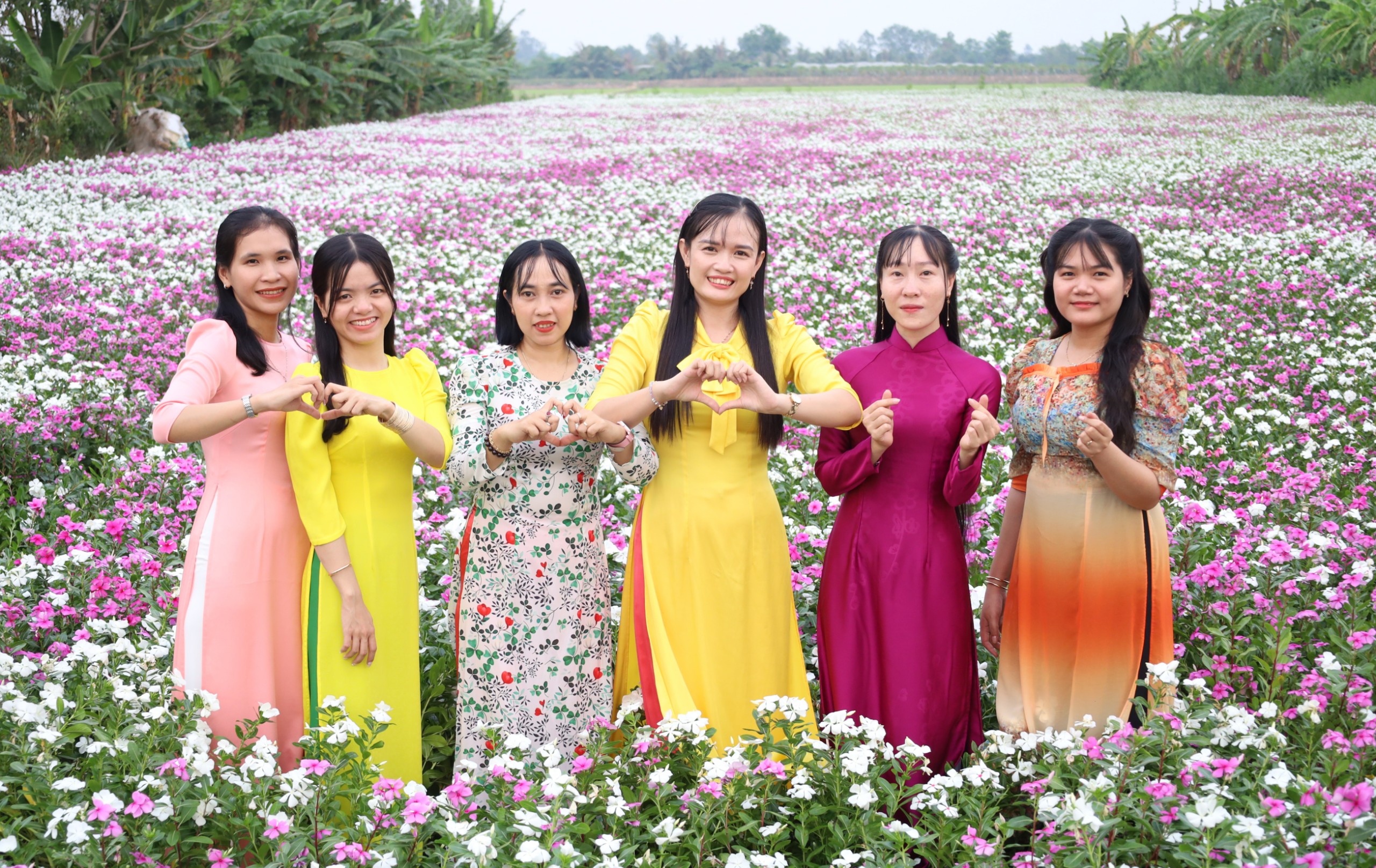 Vườn trồng cây thuốc Nam ở Cần Thơ bất ngờ trở thành điểm check-in hút khách- Ảnh 3. Vườn trồng cây thuốc Nam ở Cần Thơ bất ngờ trở thành điểm check-in hút khách- Ảnh 3.