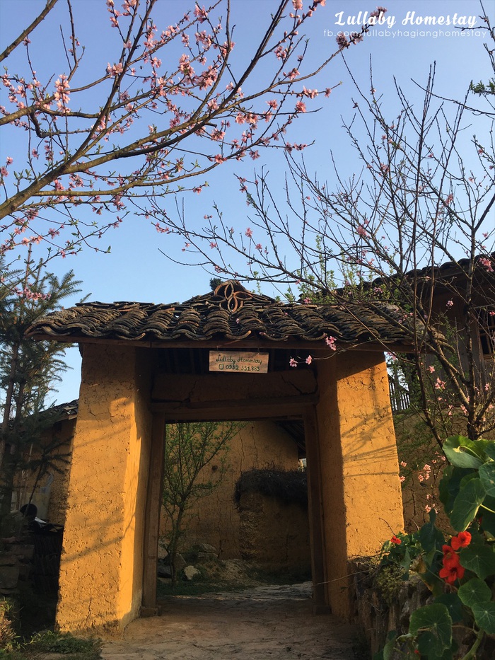 Cô gái Hà Nội bỏ việc 350 triệu đồng/năm lên Hà Giang làm homestay- Ảnh 3. Cô gái Hà Nội bỏ việc 350 triệu đồng/năm lên Hà Giang làm homestay- Ảnh 3.