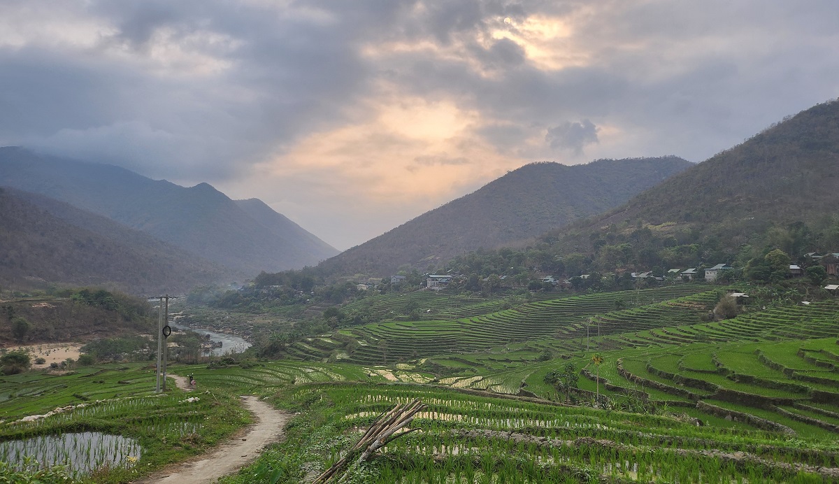 Ruộng bậc thang xanh mướt ở huyện biên cương Thanh Hóa- Ảnh 3. Ruộng bậc thang xanh mướt ở huyện biên cương Thanh Hóa- Ảnh 3.