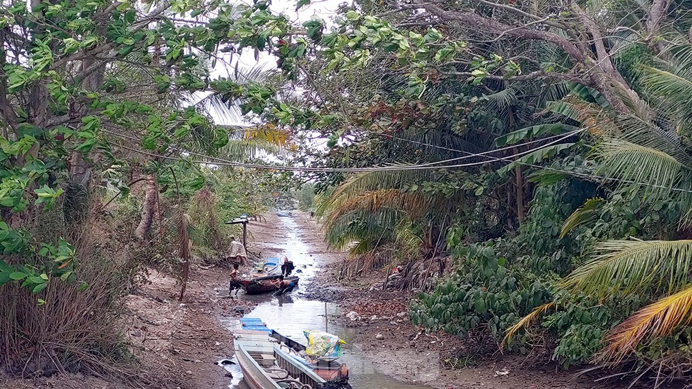 Miền Tây 'quay quắt' trong hạn, mặn, sạt lở ảnh 12