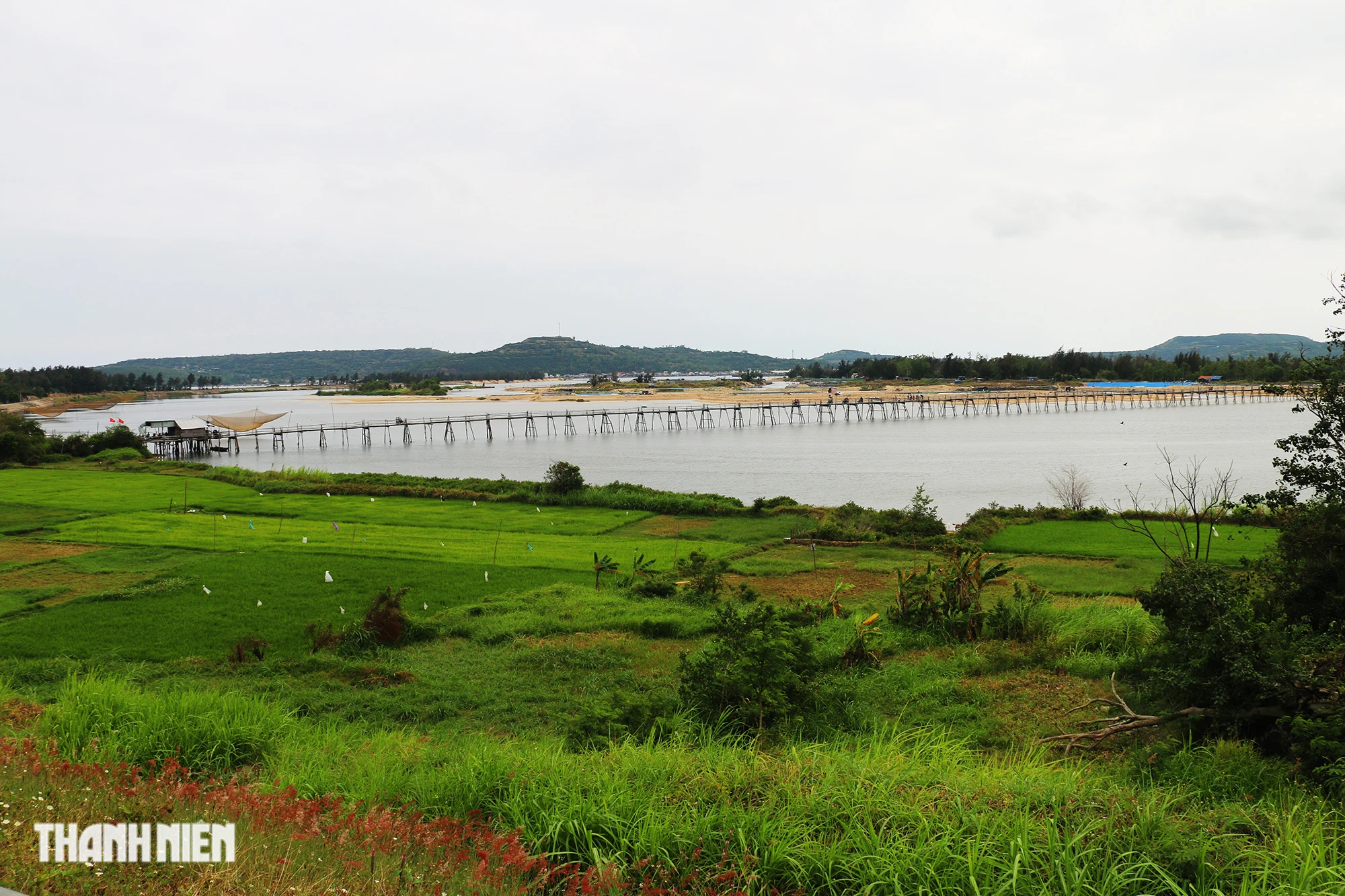 Độc lạ cây cầu gỗ dài gần 1 km bắc qua sông Bình Bá- Ảnh 2. Độc lạ cây cầu gỗ dài gần 1 km bắc qua sông Bình Bá- Ảnh 2.