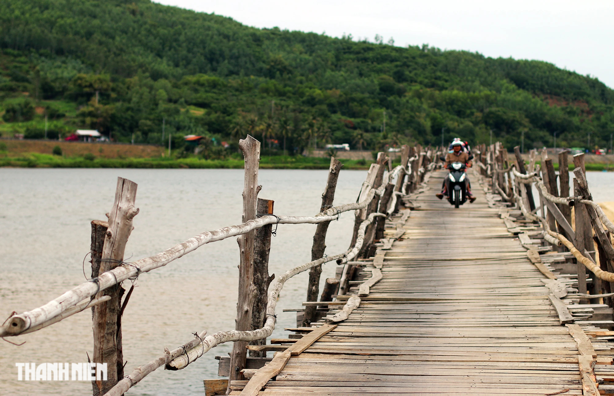 Độc lạ cây cầu gỗ dài gần 1 km bắc qua sông Bình Bá- Ảnh 5. Độc lạ cây cầu gỗ dài gần 1 km bắc qua sông Bình Bá- Ảnh 5.