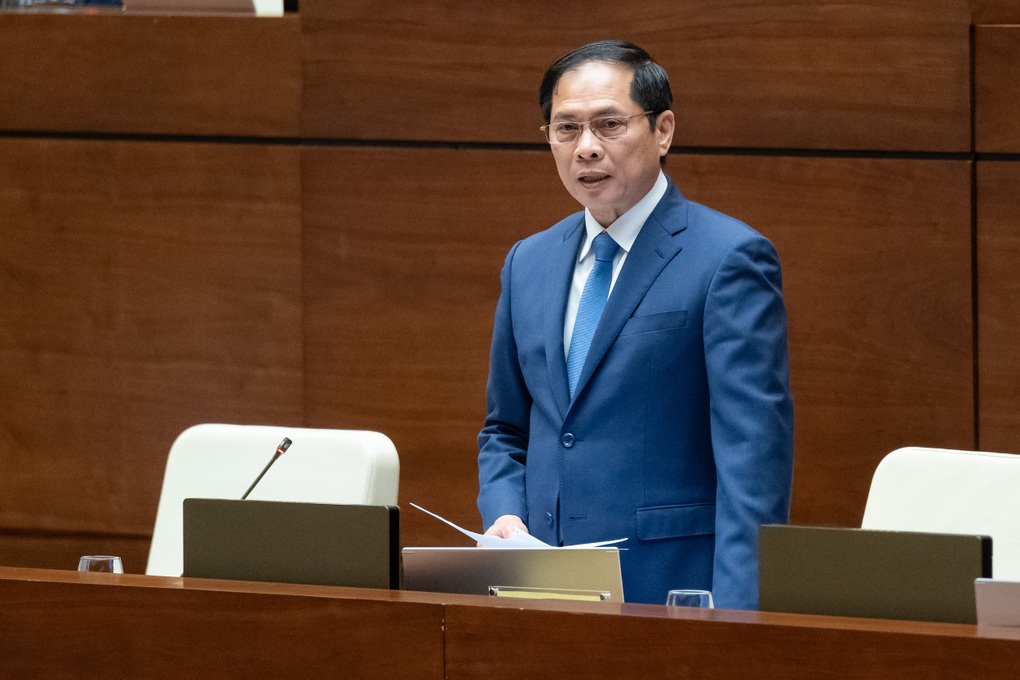 Du học sinh Việt không về nước sau khi học: Bộ trưởng Ngoại giao nêu lý do - 2 Du học sinh Việt không về nước sau khi học: Bộ trưởng Ngoại giao nêu lý do - 2