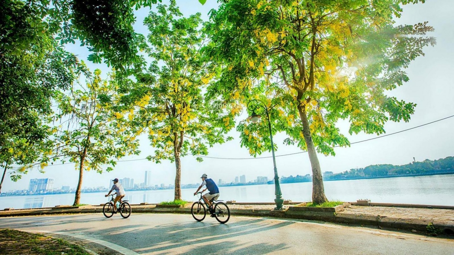 Con đường chỉ 1 km ở Việt Nam vào top 30 con đường đẹp nhất thế giới- Ảnh 2. Con đường chỉ 1 km ở Việt Nam vào top 30 con đường đẹp nhất thế giới- Ảnh 2.
