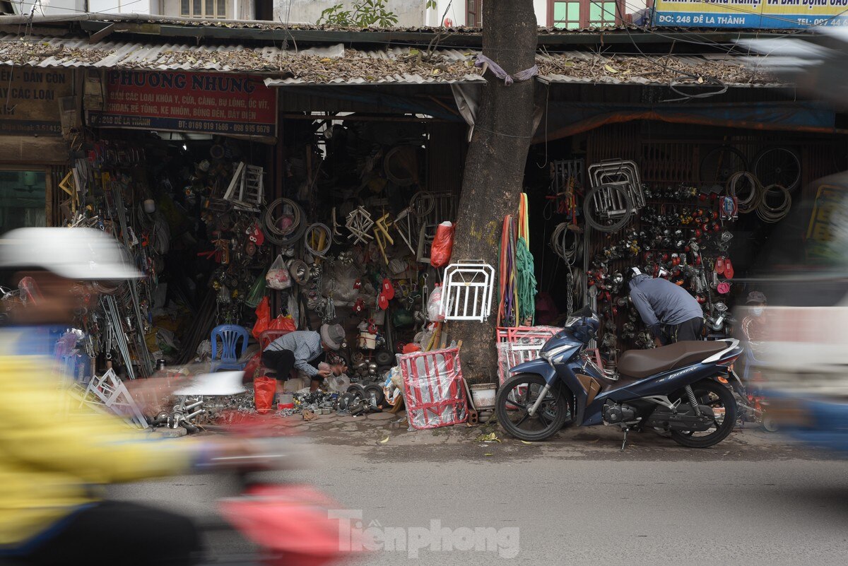 Hàng loạt cây xanh ở Hà Nội bị đóng đinh giăng đèn, treo bảng hiệu ảnh 3