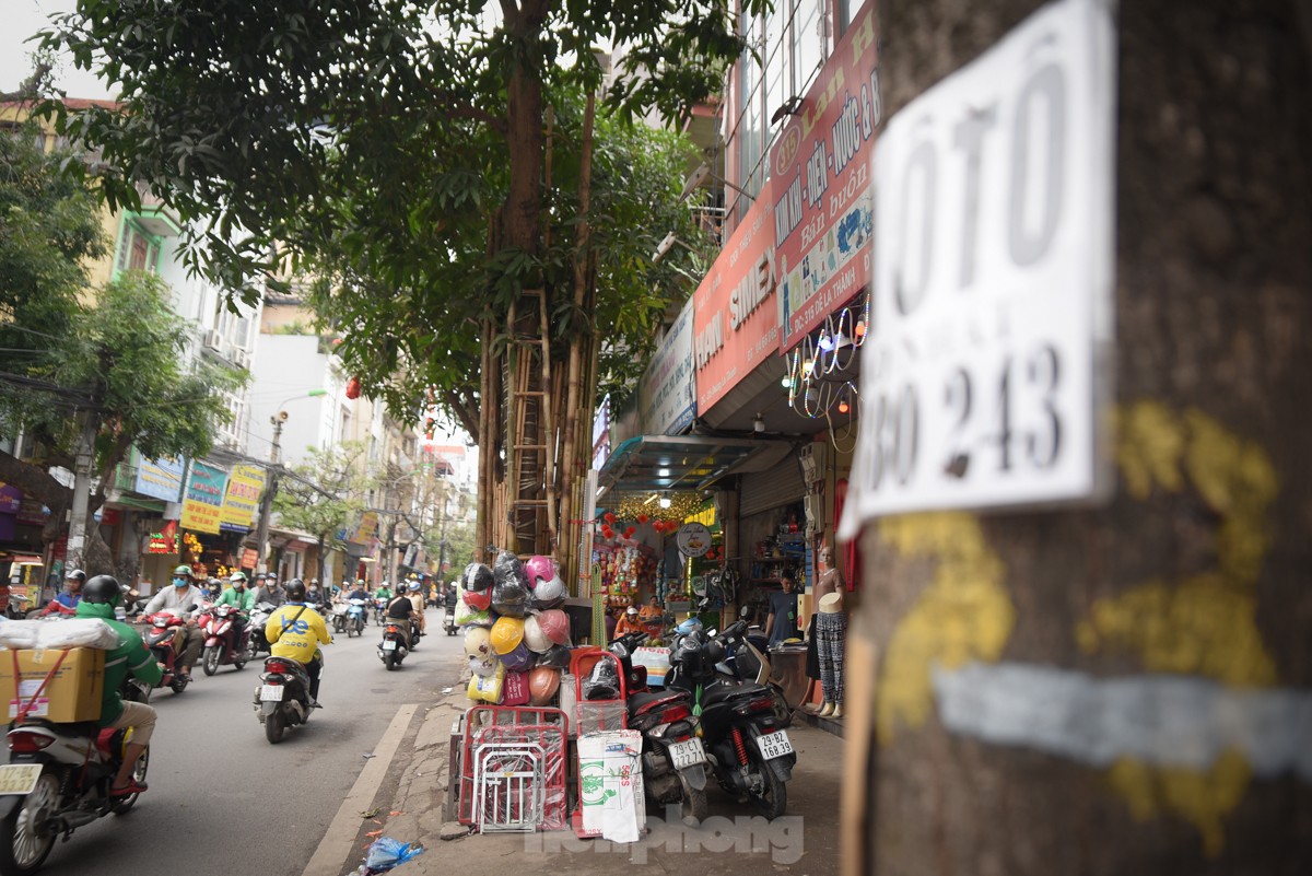 Hàng loạt cây xanh ở Hà Nội bị đóng đinh giăng đèn, treo bảng hiệu ảnh 13