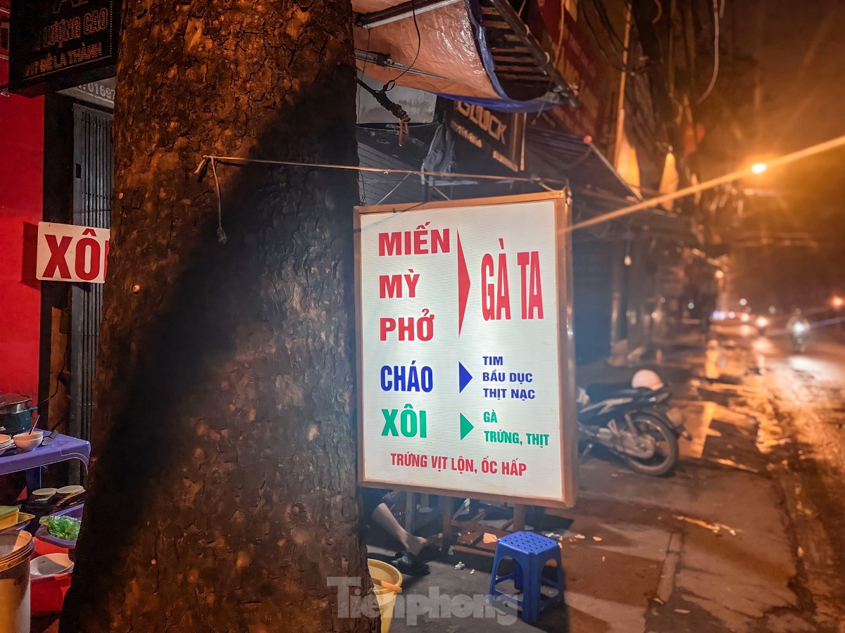 Hàng loạt cây xanh ở Hà Nội bị đóng đinh giăng đèn, treo bảng hiệu ảnh 17