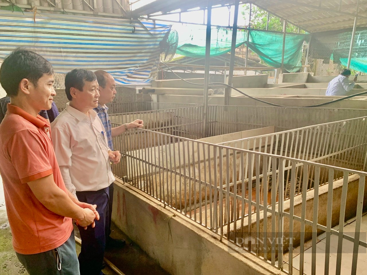 Nông dân xã Phú Nhuận ở Thanh Hóa nuôi con đặc sản, bán đắt tiền, thu nhập tăng lên thấy rõ- Ảnh 2.