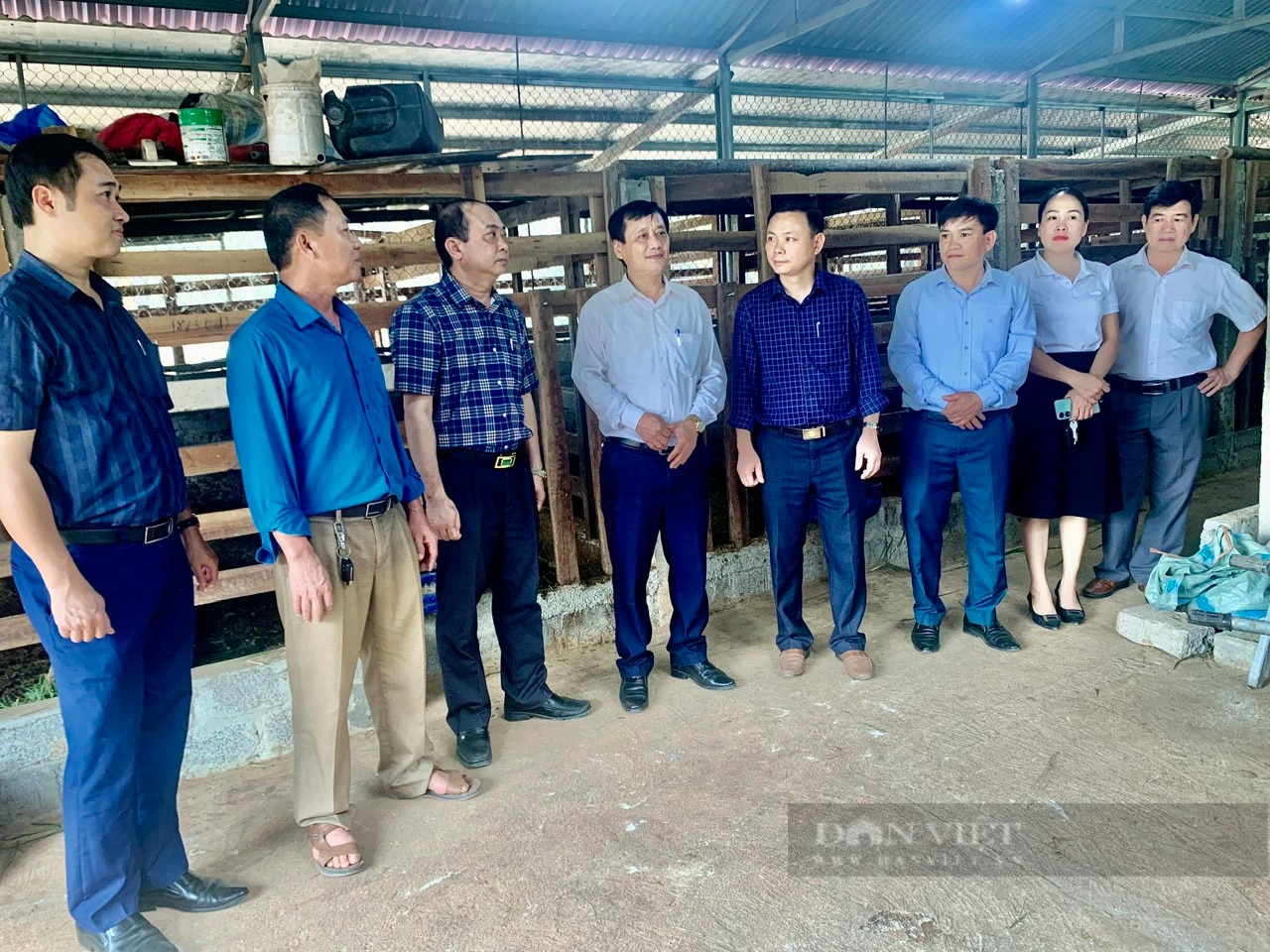 Nông dân xã Phú Nhuận ở Thanh Hóa nuôi con đặc sản, bán đắt tiền, thu nhập tăng lên thấy rõ- Ảnh 5.