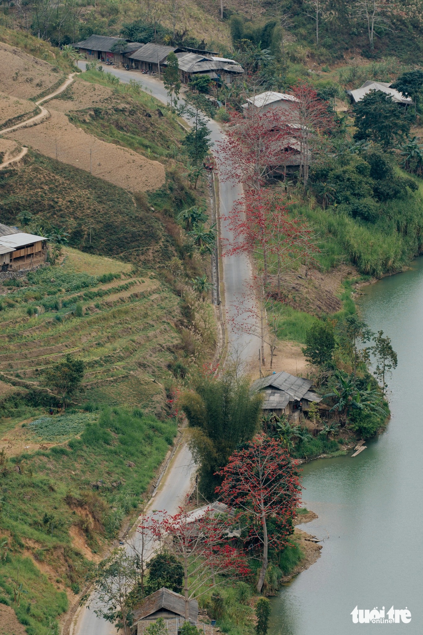 Hoa gạo sông Gâm (huyện Bắc Mê, Hà Giang) mộc mạc giữa bản làng bình yên - Ảnh: VIỆT CƯỜNG