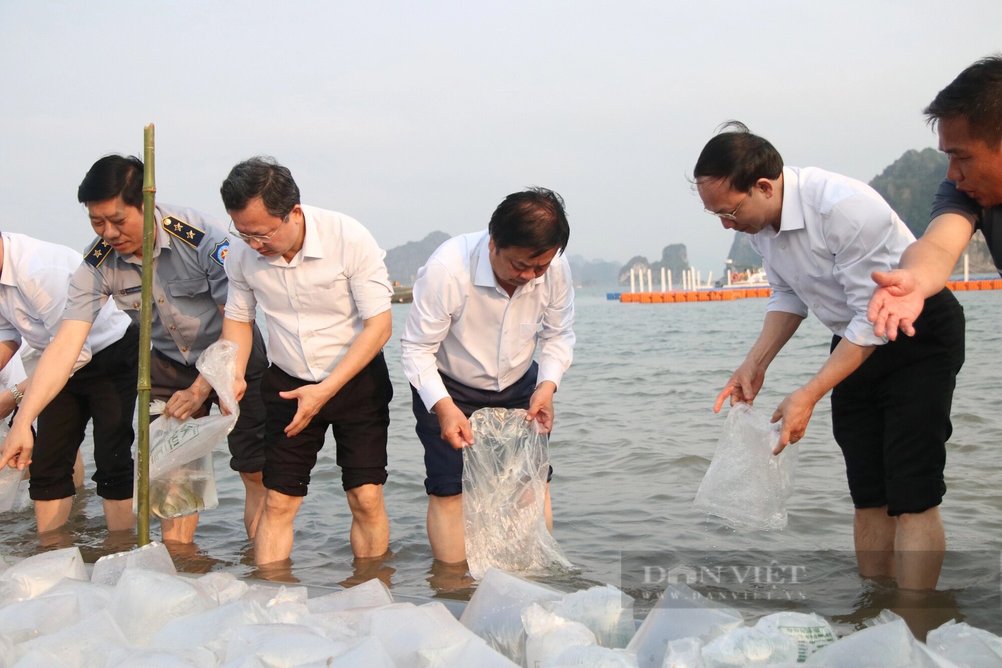 Bộ trưởng Lê Minh Hoan, Bí thư Tỉnh ủy Quảng Ninh Nguyễn Xuân Ký cùng 100 đại biểu thả 5 triệu con giống về biển- Ảnh 4.