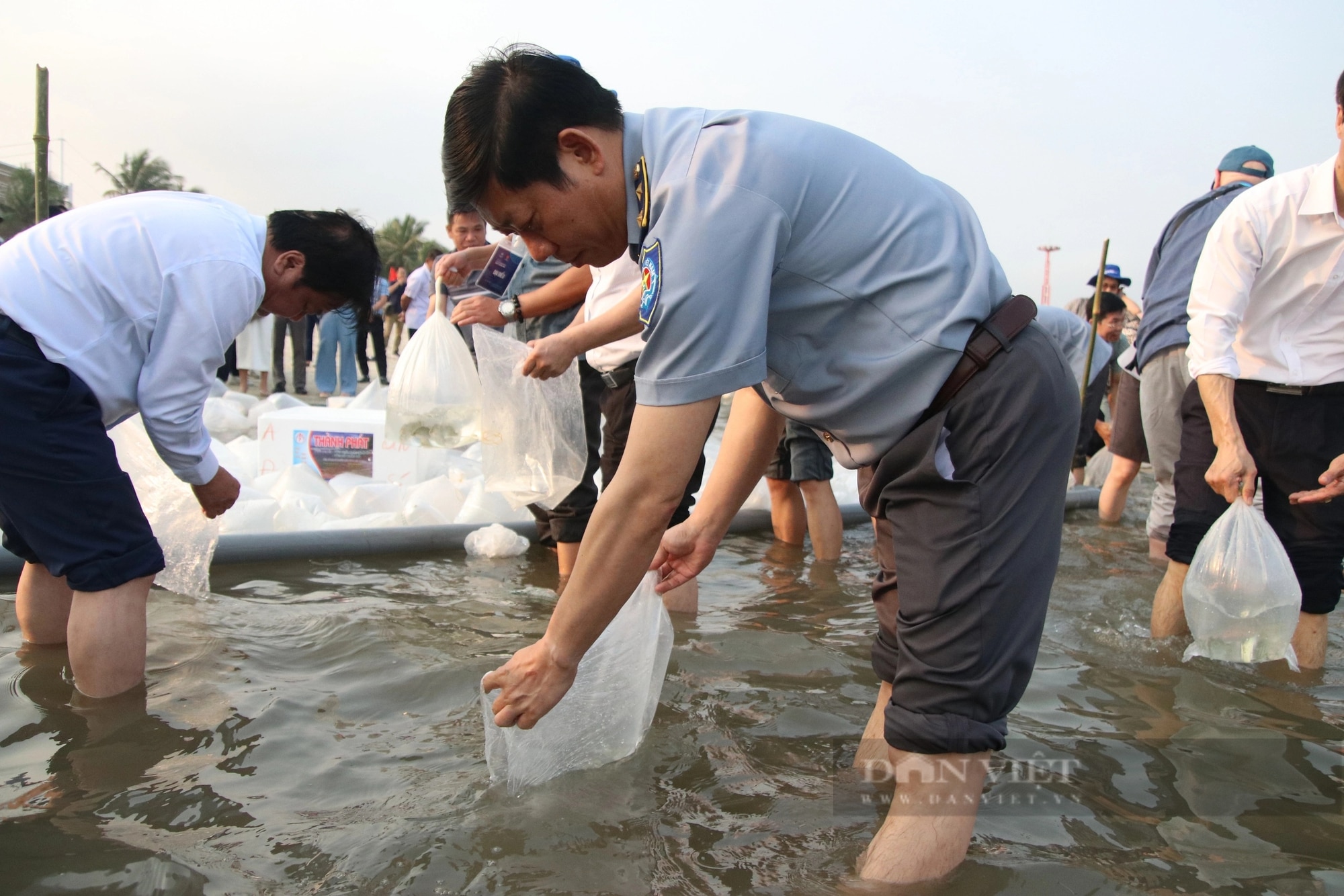 Bộ trưởng Lê Minh Hoan, Bí thư Tỉnh ủy Quảng Ninh Nguyễn Xuân Ký cùng 100 đại biểu thả 5 triệu con giống về biển- Ảnh 9.