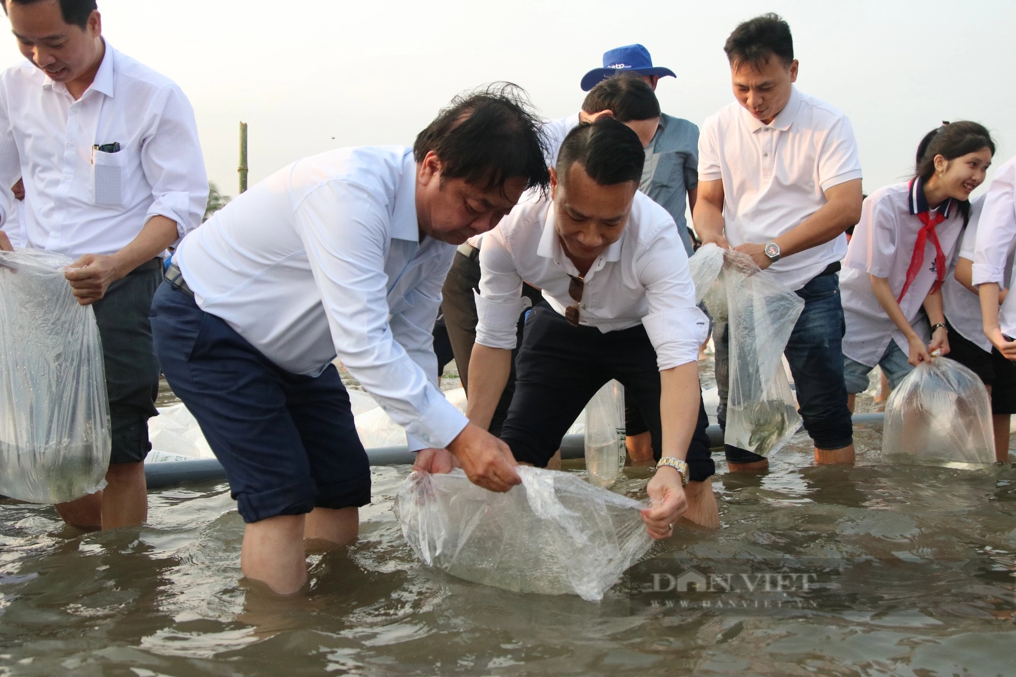 Bộ trưởng Lê Minh Hoan, Bí thư Tỉnh ủy Quảng Ninh Nguyễn Xuân Ký cùng 100 đại biểu thả 5 triệu con giống về biển- Ảnh 12.