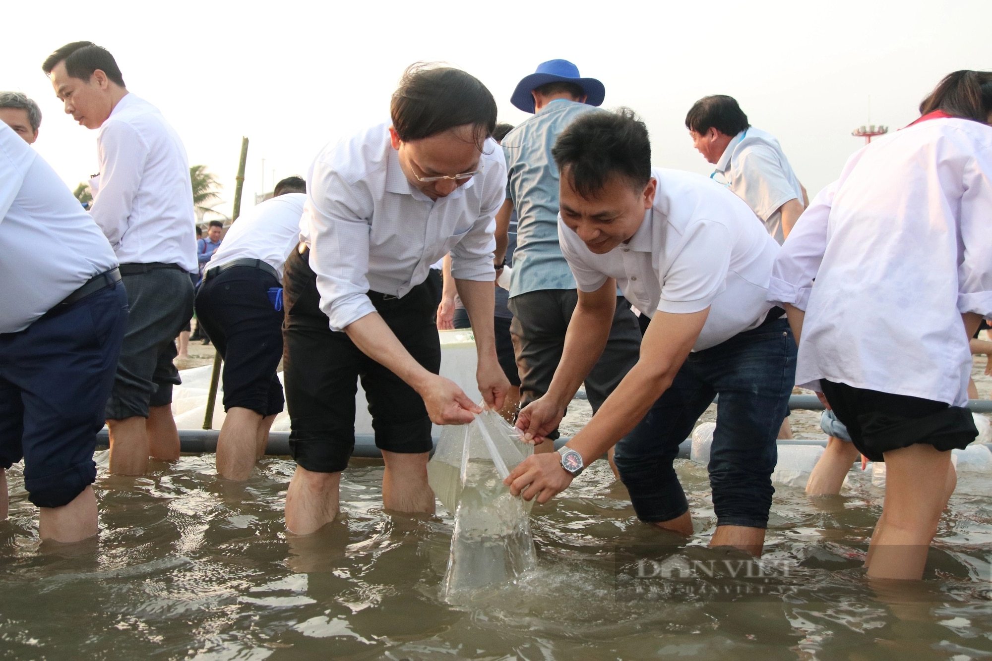 Bộ trưởng Lê Minh Hoan, Bí thư Tỉnh ủy Quảng Ninh Nguyễn Xuân Ký cùng 100 đại biểu thả 5 triệu con giống về biển- Ảnh 13.