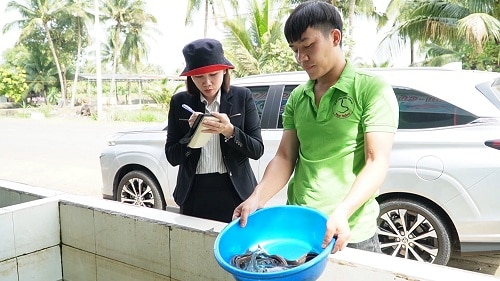 Nuôi dày đặc loài cá đặc sản trong ao, anh nông dân Đồng Nai bắt bán 450.000 đồng/kg, thương lái mua hết- Ảnh 2.