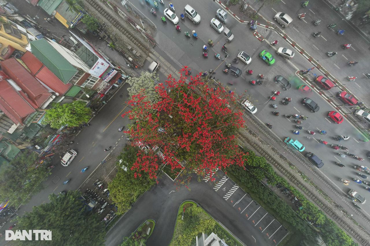 Hà Nội mùa hoa gạo nở trong sương mờ trắng - 2 Hà Nội mùa hoa gạo nở trong sương mờ trắng - 2