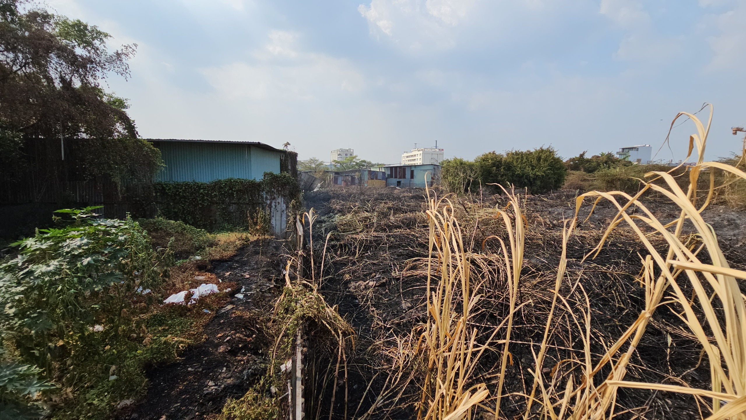 2 vụ đốt cỏ rác cháy lan giữa nắng nóng gây hoảng loạn ở Tân Phú- Ảnh 1.