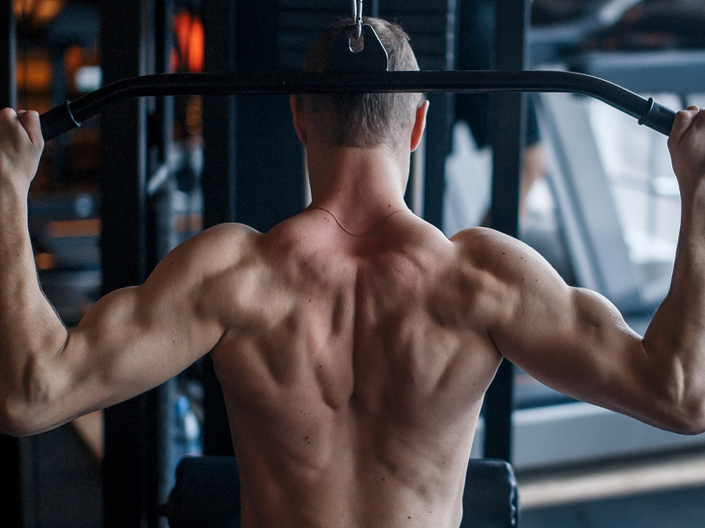 4 nhóm cơ đốt calo nhiều nhất trên cơ thể- Ảnh 1. 4 nhóm cơ đốt calo nhiều nhất trên cơ thể- Ảnh 1.