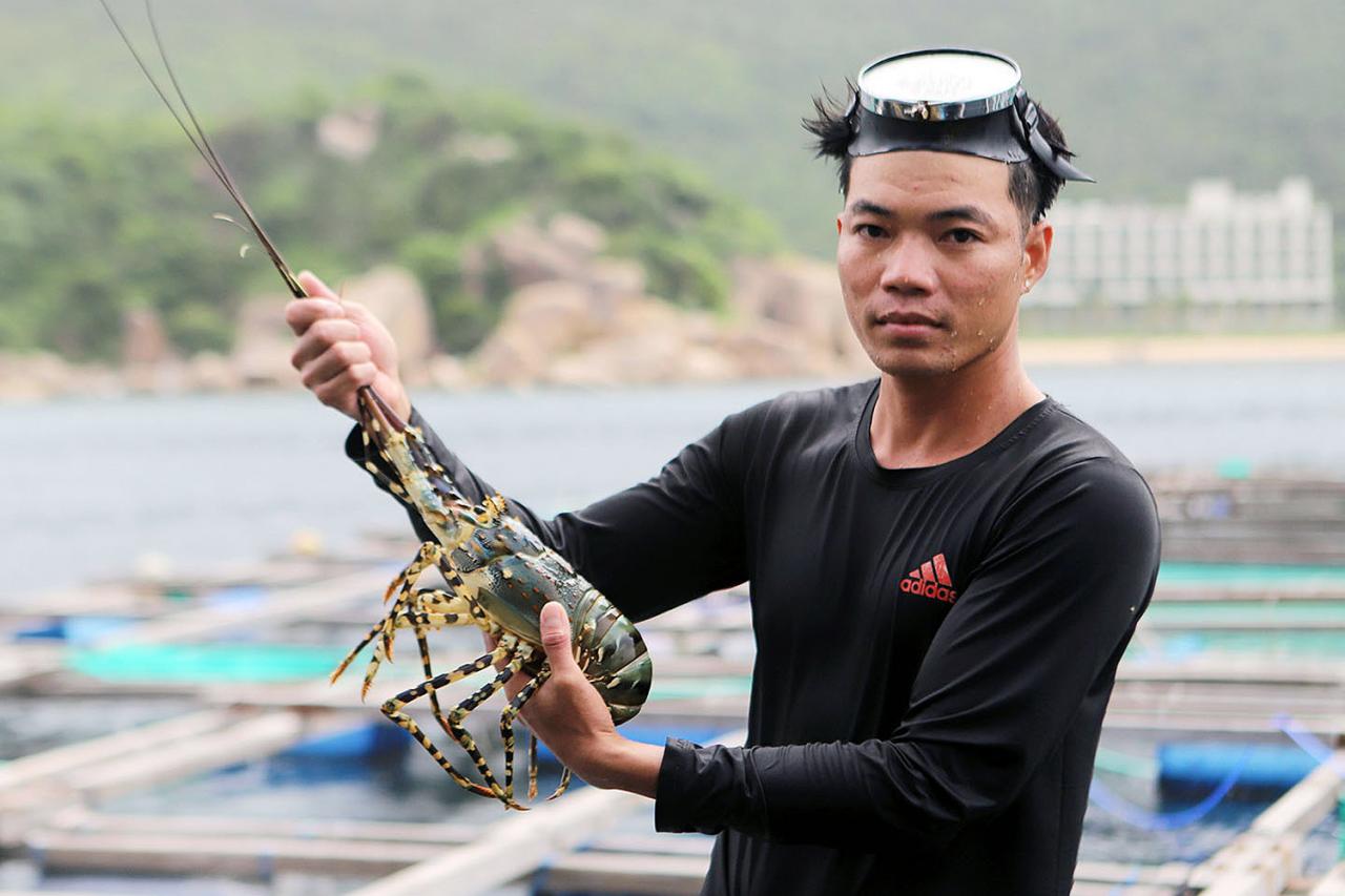 419294127-3623498281243032-8607186060569225965-n-1-1175 - Vietnam.vn 419294127 3623498281243032 8607186060569225965 n 1.jpg