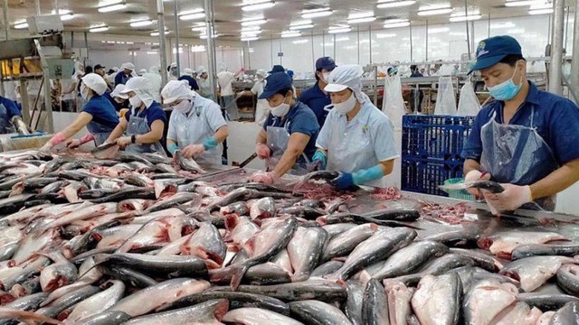 Áp thuế VAT với dịch vụ xuất khẩu, VASEP kiến nghị gì?