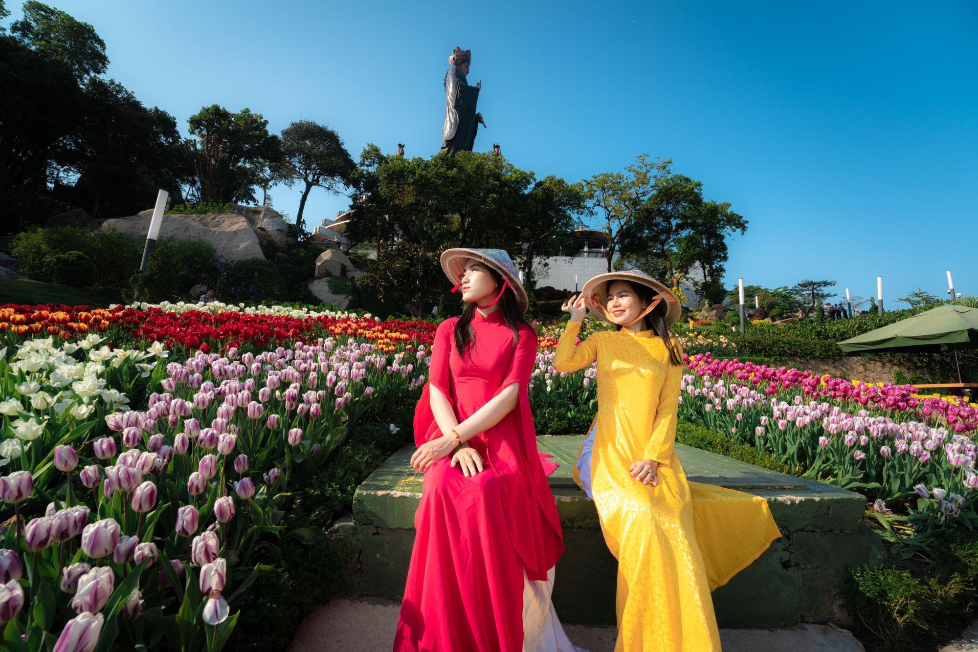 Check-in những vườn hoa nở rộ đúng dịp 8/3 - Ảnh 1. Check-in những vườn hoa nở rộ đúng dịp 8/3 - Ảnh 1.