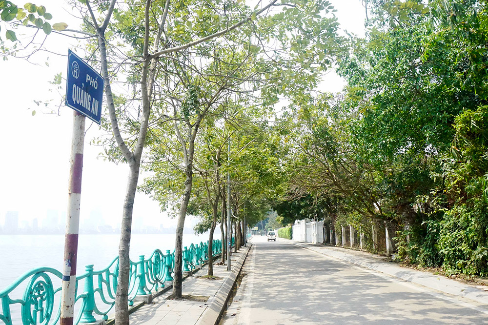 Con đường chỉ 1 km ở Việt Nam vào top 30 con đường đẹp nhất thế giới- Ảnh 1. Con đường chỉ 1 km ở Việt Nam vào top 30 con đường đẹp nhất thế giới- Ảnh 1.