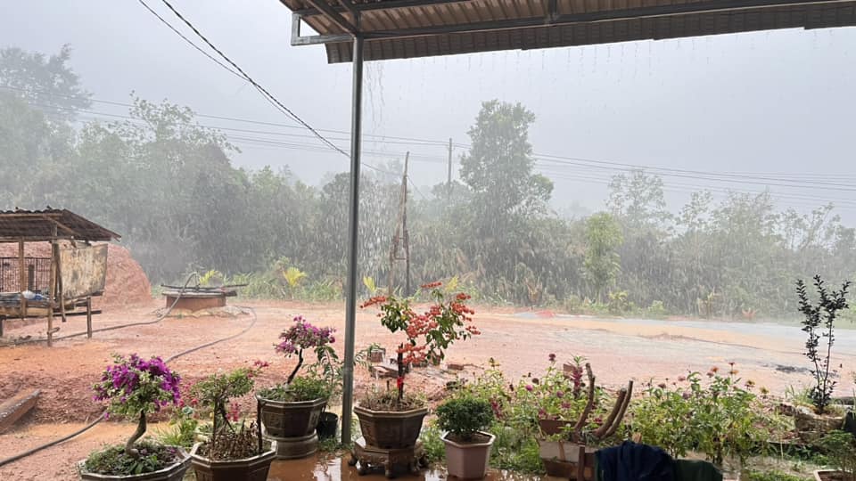 Cơn mưa đầu mùa giúp vùng hạn Kon Tum giải nhiệt- Ảnh 1. Cơn mưa đầu mùa giúp vùng hạn Kon Tum giải nhiệt- Ảnh 1.