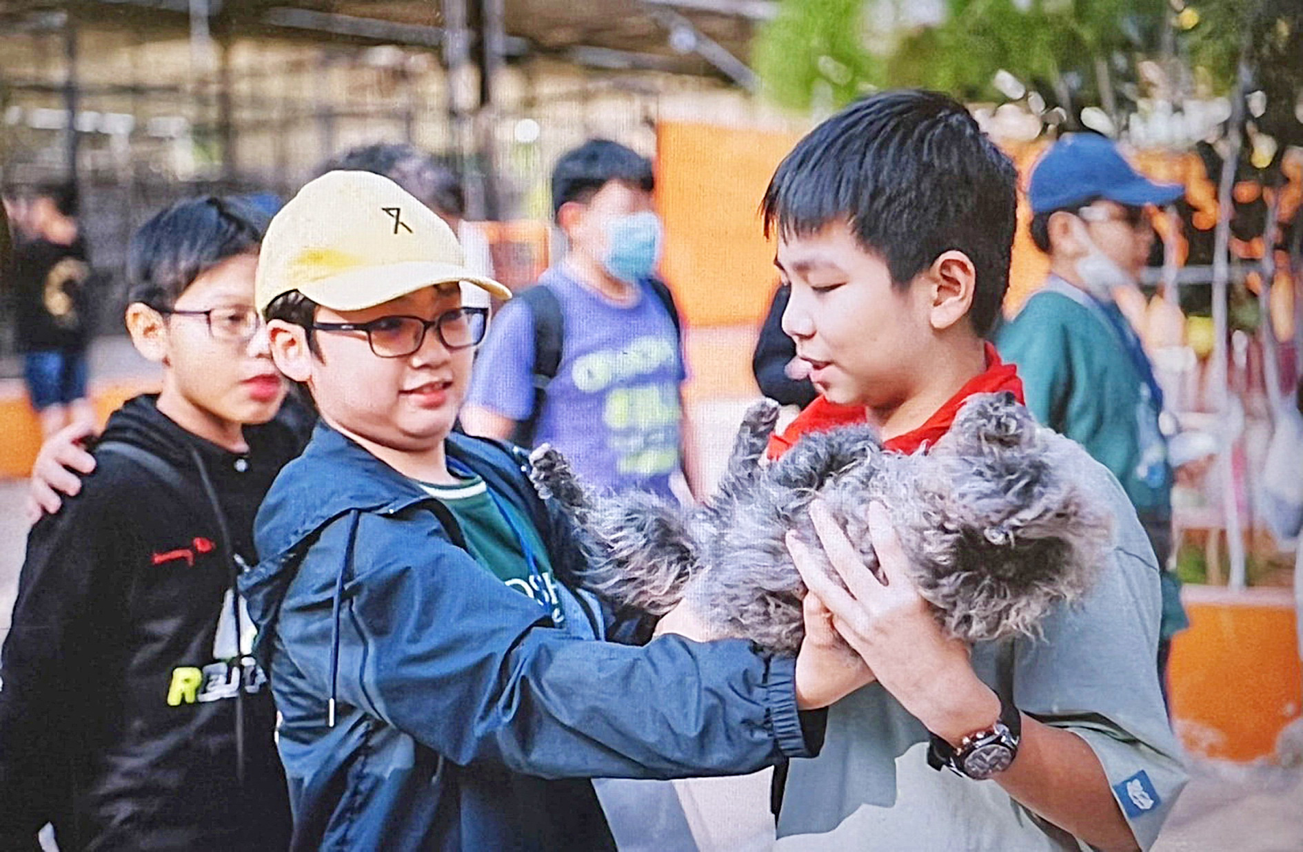 Cuộc thi ảnh Tuổi Xanh: Tình bạn- Ảnh 1. Bức ảnh dự thi của Hoàng Việt