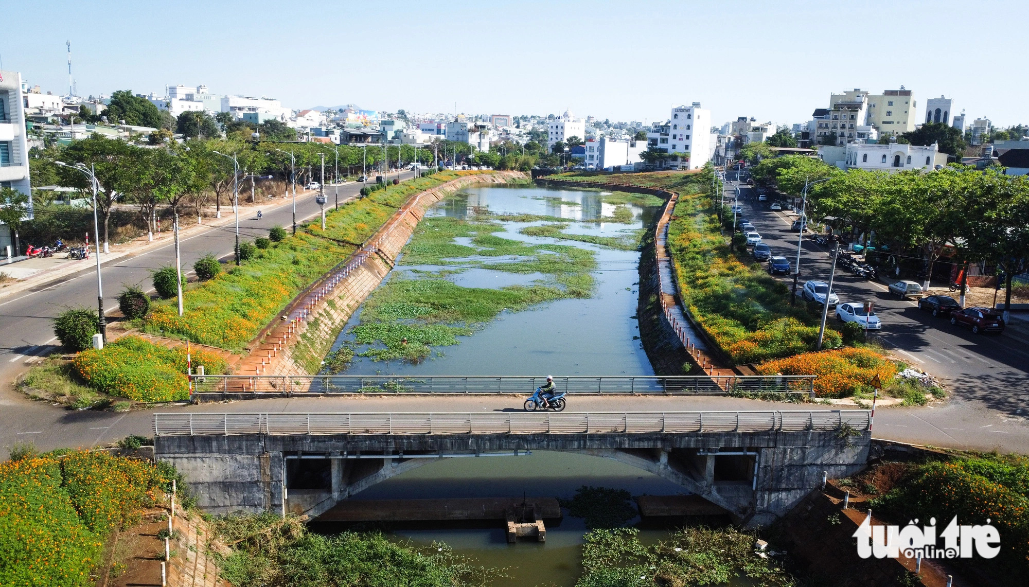 'Đầm lầy' giữa phố Pleiku biến hình thành suối hoa rực rỡ- Ảnh 1. Suối Hội Phú giữa lòng Pleiku đã thoát cảnh ô nhiễm, trở thành suối hoa rực rỡ - Ảnh: TẤN LỰC