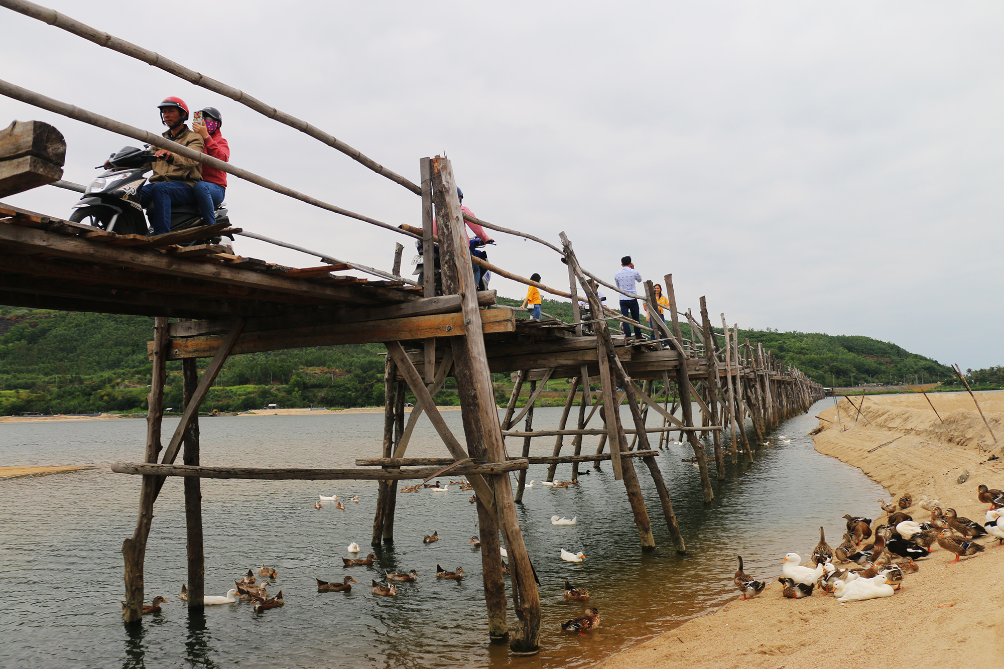 Độc lạ cây cầu gỗ dài gần 1 km bắc qua sông Bình Bá- Ảnh 4. Độc lạ cây cầu gỗ dài gần 1 km bắc qua sông Bình Bá- Ảnh 4.