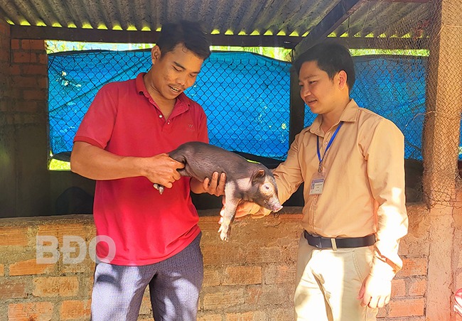 Đây là con đặc sản mà anh nông dân Bình Định nuôi thành công, hễ nói bán là khối người đòi mua- Ảnh 1. Đây là con đặc sản mà anh nông dân Bình Định nuôi thành công, hễ nói bán là khối người đòi mua- Ảnh 1.