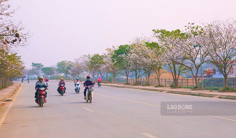 Đặc biệt trong tháng 3 sẽ diễn ra Lễ hội hoa ban gắn với sự kiện Khai mạc năm du lịch Quốc gia 2024 nên lượng du khách đến Điện Biên tăng vọt.