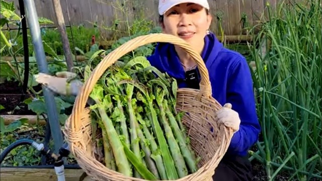 Loại rau chứa hơn 20 khoáng chất cần thiết cho cơ thể, bổ hơn tổ yến nhưng đây là lý do nhiều người không ăn - Ảnh 2. Loại rau chứa hơn 20 khoáng chất cần thiết cho cơ thể, bổ hơn tổ yến nhưng đây là lý do nhiều người không ăn - Ảnh 2.