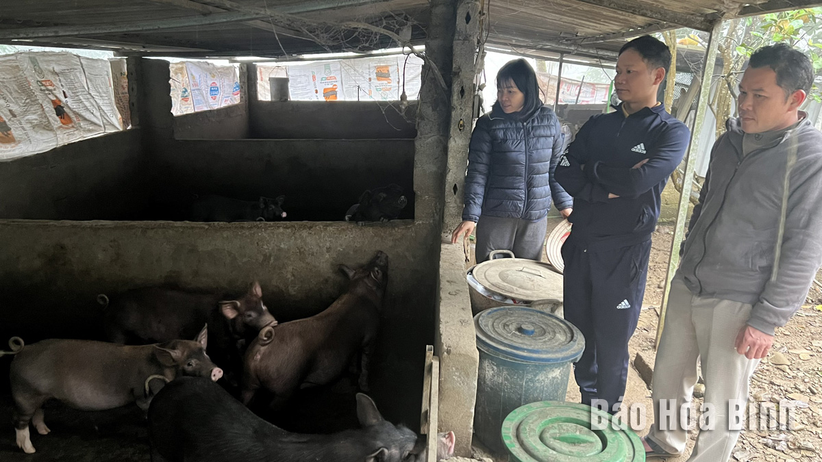 Con đặc sản này đang nuôi thành công ở Hòa Bình, trông hơi xấu mà hễ nói bán là đắt như tôm tươi- Ảnh 2. Con đặc sản này đang nuôi thành công ở Hòa Bình, trông hơi xấu mà hễ nói bán là đắt như tôm tươi- Ảnh 2.